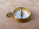 Elegant 19th century pocket compass in case
