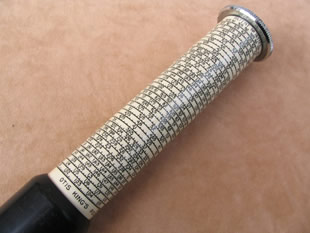 view of upper helical scales 