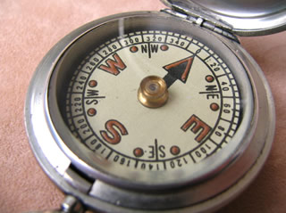 Close up view of compass dial with jewelled pivot bearing